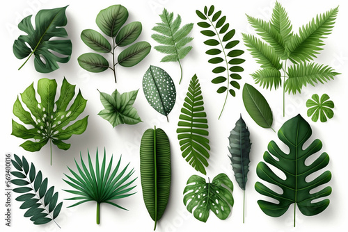 Tropical Exotic Luxury leaves isolated on white background. Graphic elements for advertising and creativity.Ai generated