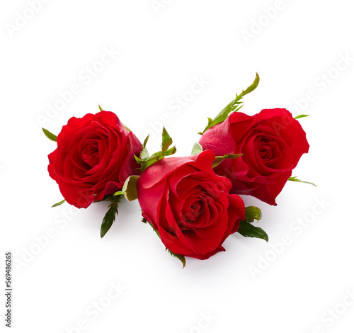 Valentine day red roses isolated on white background