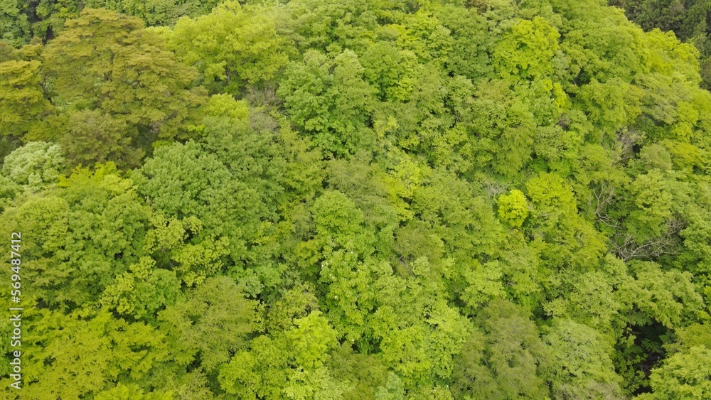 ドローン 空撮 山 緑 夏の山 ドローン 空撮 山 緑 夏の山