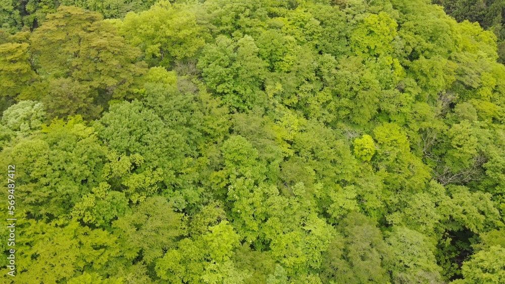 ドローン 空撮　山　緑　夏の山