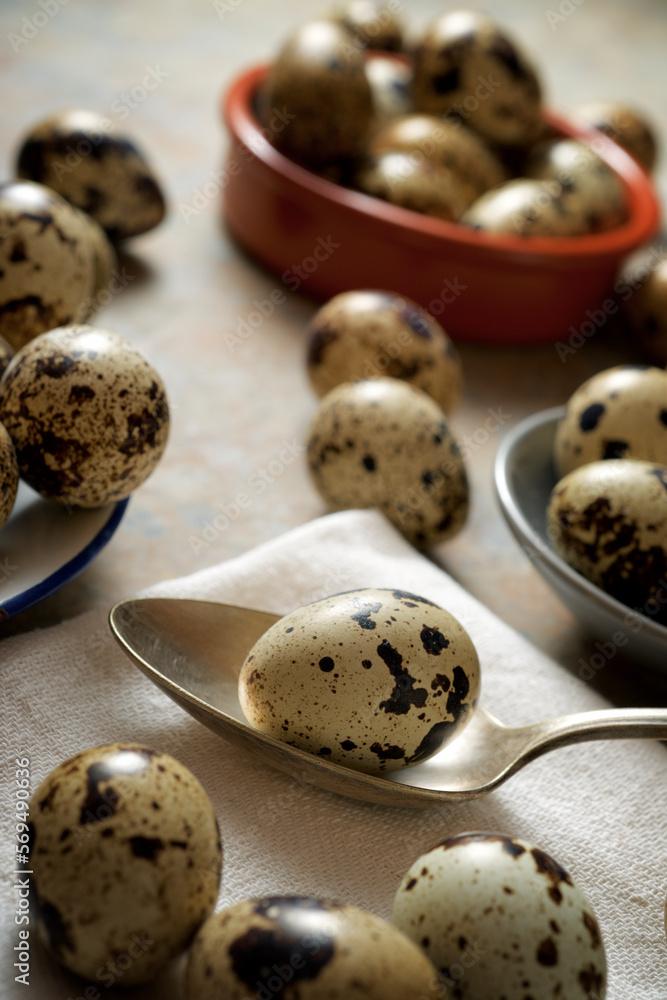 Quail eggs on a stone table. Quail eggs on a stone table.