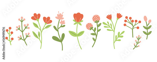 Garden floral plants set. Simple doodle flower plants isolated on white background. Colorful flat vector illustration