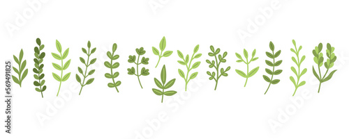 Garden floral plants set. Simple doodle flower plants isolated on white background. Colorful flat vector illustration