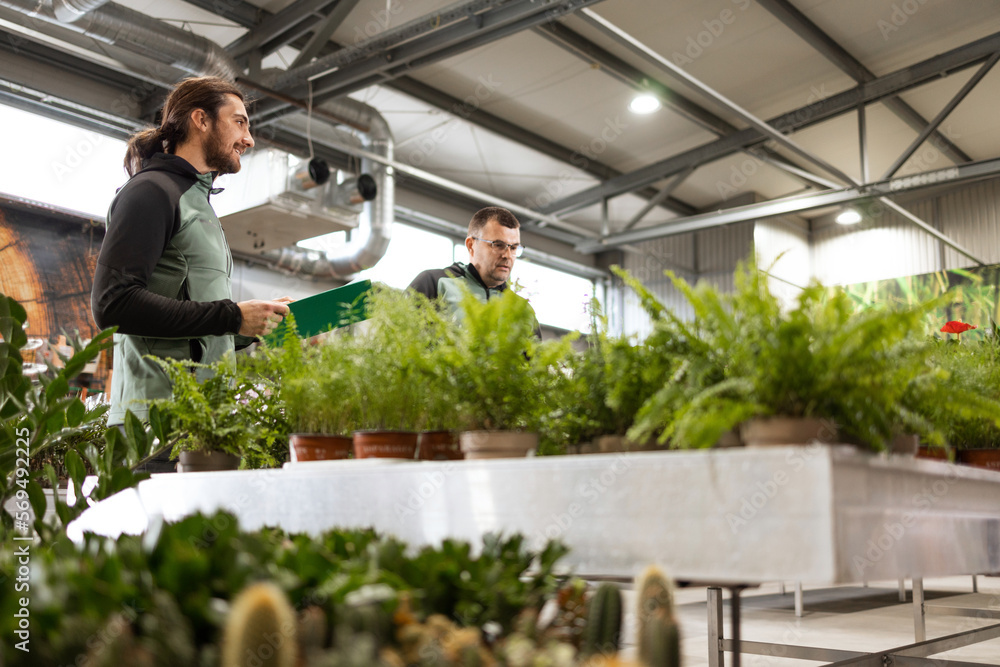 Two men working in a houseplant nursery are doing the inventory. They are standing surrounded by plants. Two men working in a houseplant nursery are doing the inventory. They are standing surrounded by plants.