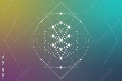 Flower of life. Tree of life. Sacred geometry spiritual new age futuristic illustration with transmutation interlocking circles, triangles and glowing particles