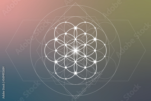 Flower of life. Tree of life. Sacred geometry spiritual new age futuristic illustration with transmutation interlocking circles, triangles and glowing particles