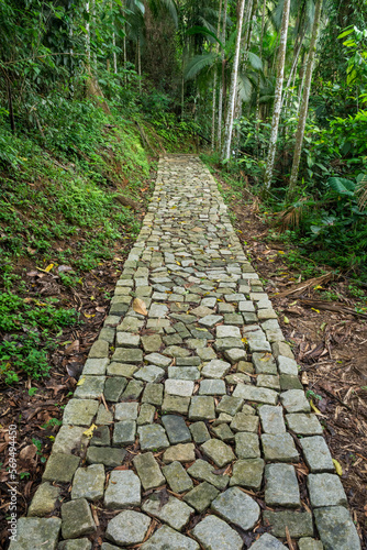 Beautiful view to rustic paved rocky path on green rainforest area