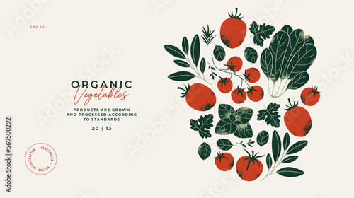 Tomatoes and greens horizontal design template. Garden food. Farm fresh organic vegetables background. Vector illustration