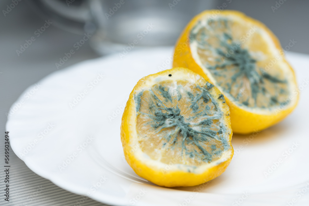 Macro close up of mildewed musty unfresh lemon cut in two parts with green mold on white plate Macro close up of mildewed musty unfresh lemon cut in two parts with green mold on white plate