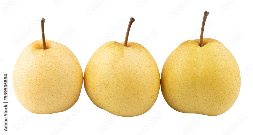 Fresh Chinese pear fruit isolated on a transparent background Fresh Chinese pear fruit isolated on a transparent background