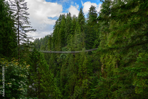 Panoramic shot of a young girl on the Capilano Suspension Bridge in Vancouver, Canada, surrounded by trees photo