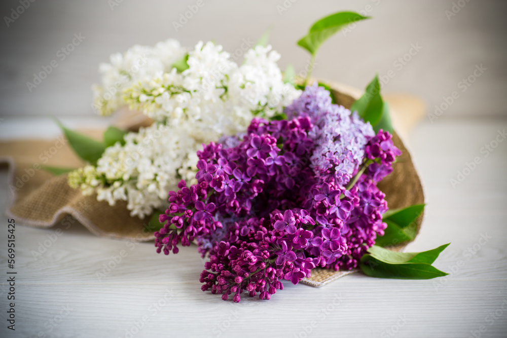 Bouquet of beautiful spring lilacs of different colors