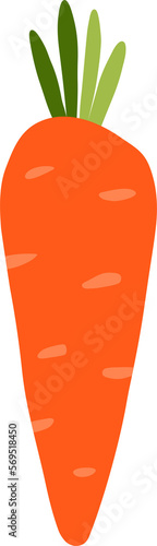 Hand drawn carrot on a transparent background.