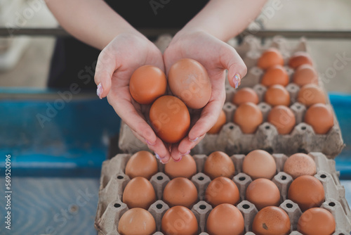 Hand showing an organic fresh eggs with egg panel. Concept of caring farming or agriculture and Eco-friendly Food or Eco organic chicken farm, free cage. Local farm or Sustainable business.