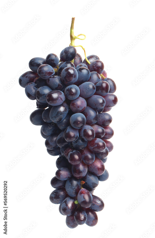 Bunch grapes isolated on white isolated Bunch grapes isolated on white isolated