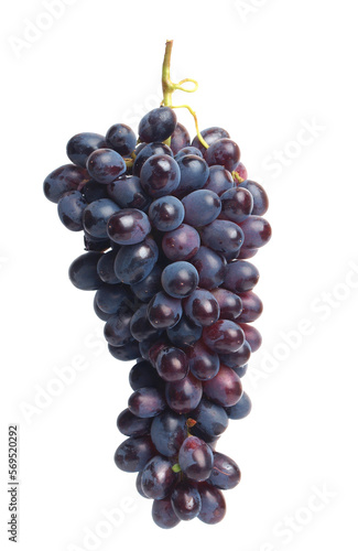  Bunch grapes isolated on white isolated