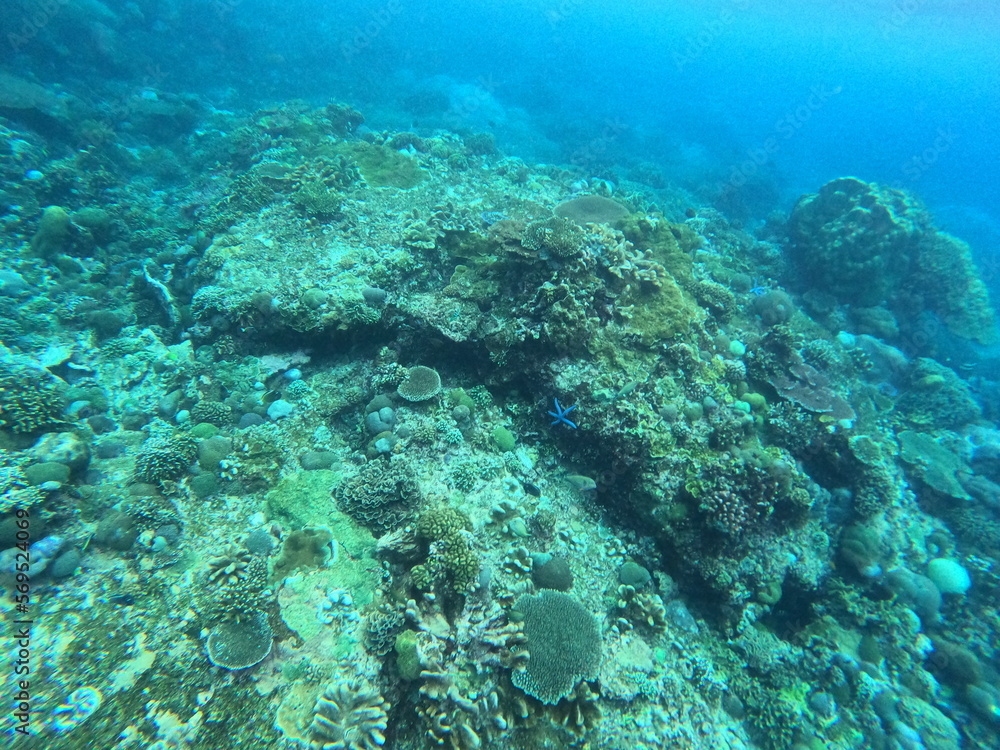 Fototapeta premium Nusa Penida, Indonesia
