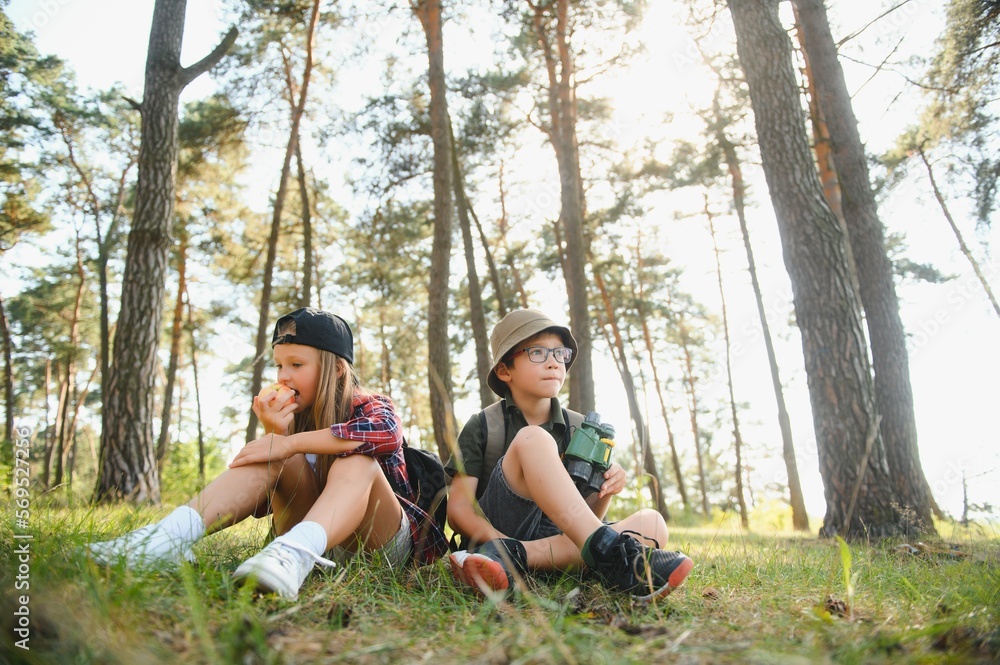 kids scouts in the forest. kids scouts in the forest.
