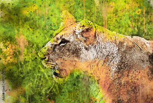 Portrait of a lioness in the Masai Mara  Kenya  watercolor artistic work