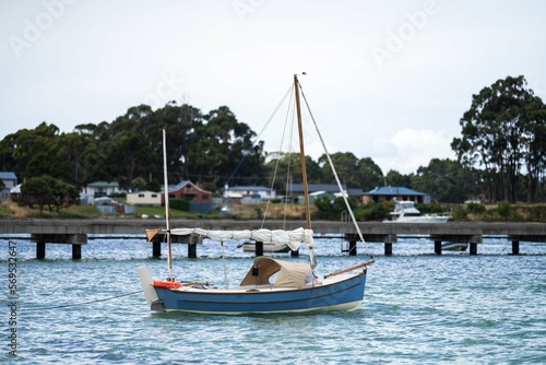 Fototapeta Naklejka Na Ścianę i Meble -  man watching wooden boat on the water, at the wooden boat festival in hobart tasmania australia