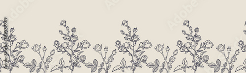 Vector horizontal seamless border with hand drawn Rose Flower. Eps 10. Line-art botanical illustration. Floral backdrop