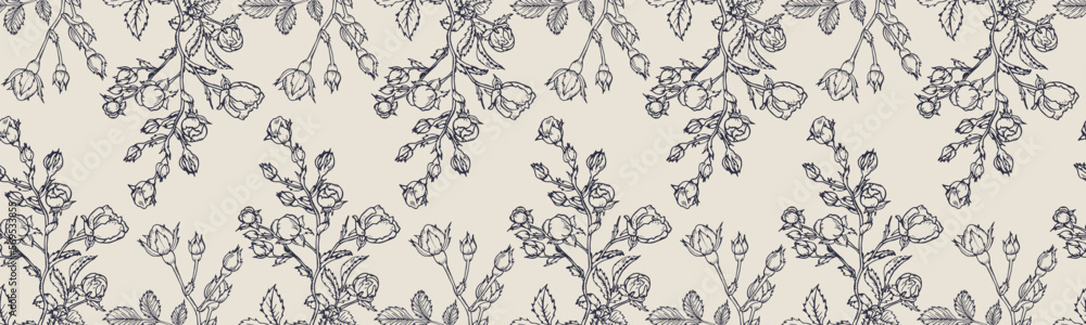 Vector horizontal seamless border with hand drawn Rose Flower. Eps 10. Line-art botanical illustration. Floral backdrop