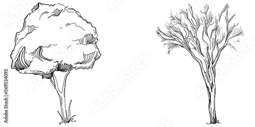 Tropical tree with leaves, black silhouettes isolated on white background. Vector