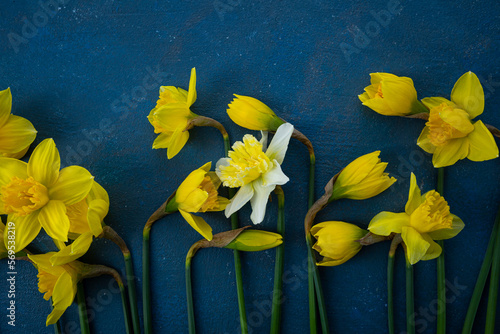 Canvastavla Spring narcissus flowers on vintage background
