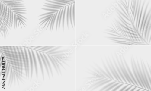 Set of shadow overlay effects. Tropical leaf soft shadow. Natural light scene, vector illustration.