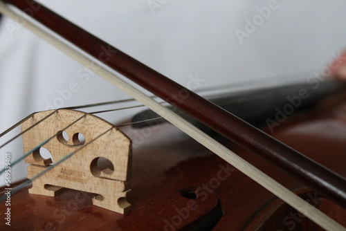 close up of a violin