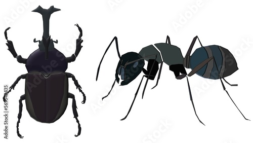 ant and beetle