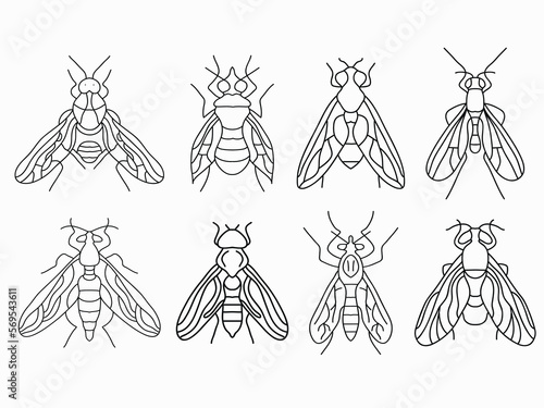 fly insect outline icon set.fly line art vector illustration collection