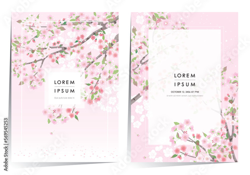 Vector editorial design frame set of Korean spring scenery with cherry trees in full bloom. Design for social media, party invitation, Frame Clip Art and Business Advertisement