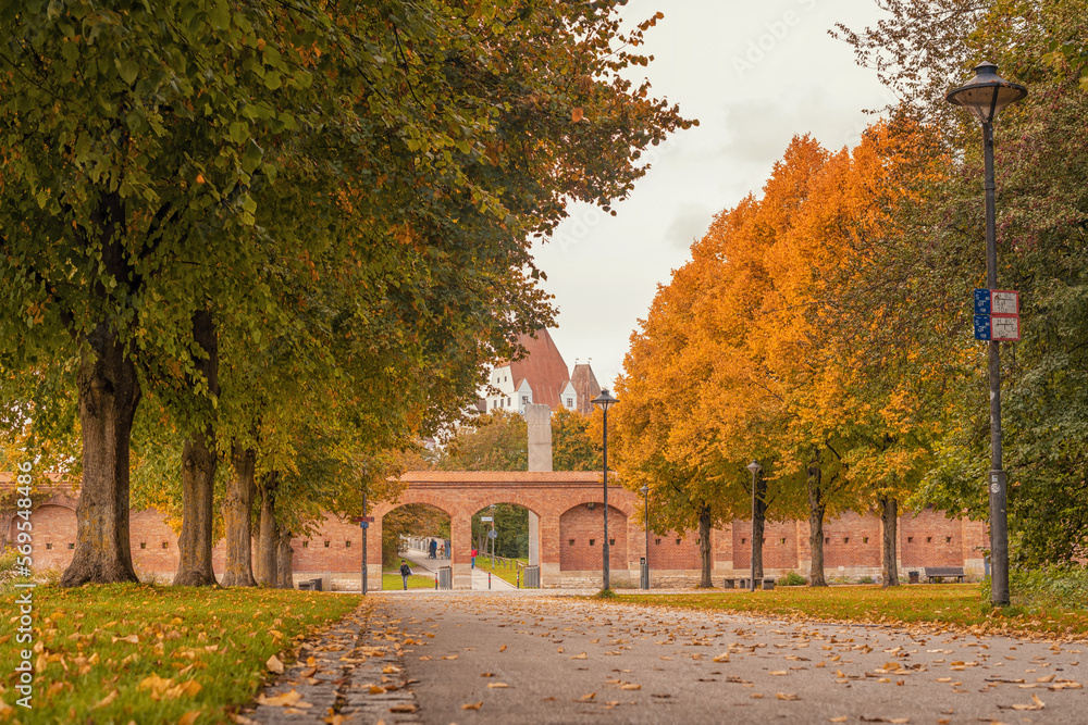 Obraz premium autumn park with yellow trees and yellow grass in ingolstadt city bavaria germany 