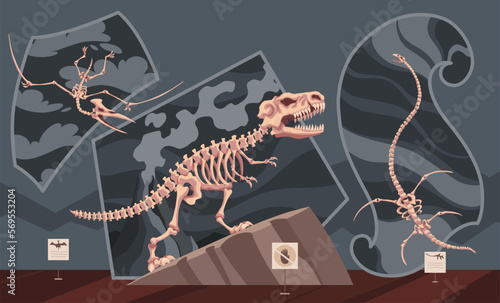 Paleontological museum interior. Exhibition with prehistoric dinosaur skeleton. Fossils and archaeological discoveries. Historical artefacts and sculls on pedestals. Vector science room