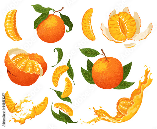 Mandarin icon set. Cartoon isolated sweet citrus fruit. Fresh tropical tangerine. Organic vector illustration. Whole, orange twist peel, clementine with leaves. Unpeeled and skinless with segments