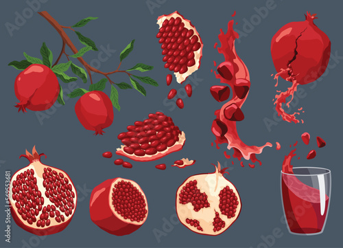 Pomegranate icon set. Cartoon isolated summer garnet fruit with ruby seeds, juice in glass and cut slice. Advertising tropical ripe fruit. Vector illustration of healthy food