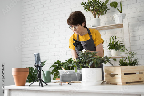 Female blogger sits in front of smartphone camera on tripod records instructional tutorial video for her blog shoots process of replanting flowers and green plants full of soil enjoys botanic hobby