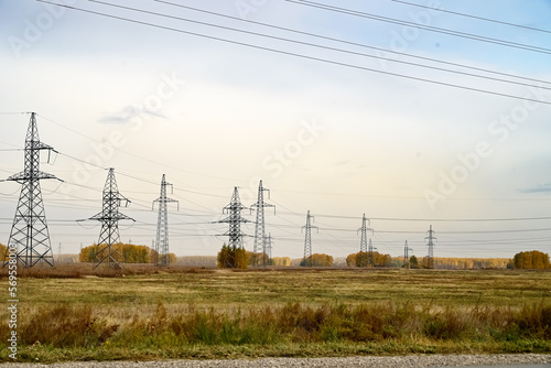 a number of power lines in the autumn forest
