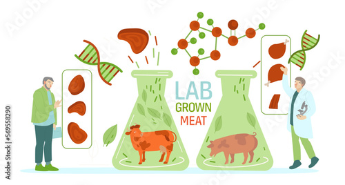 Lab grown meat. Horizontal image. Vector illustration