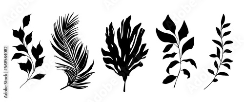 Beautiful leaf set silhouette background vector illustration 17. 