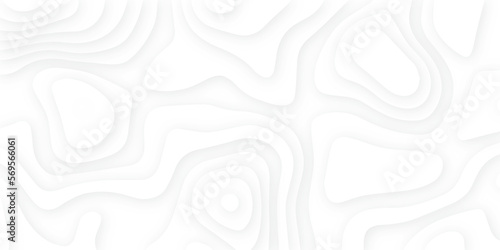 Abstract white papercut background with waves. Topographic canyon geometric map relief texture with curved layers and shadow. wavy line 3d paper cut white background.
