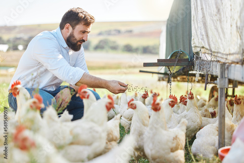 Photographie Man on farm, feed chicken and agriculture with poultry livestock and sustainability with organic agro business