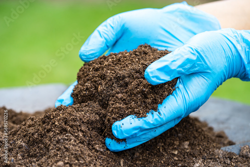 Hand holding peat moss organic matter improve soil for agriculture organic plant growing, ecology concept.