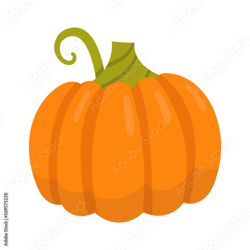 pumpkin fruit illustration