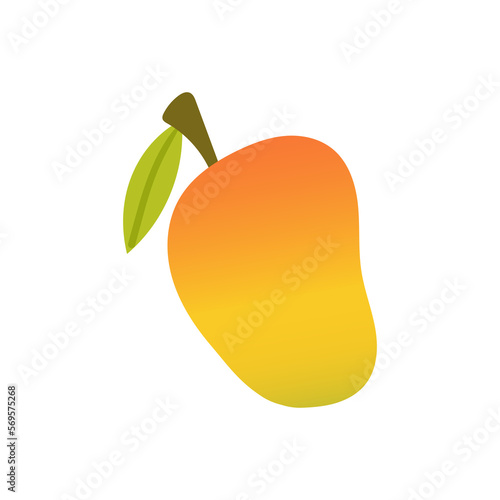 mango fruit illustration