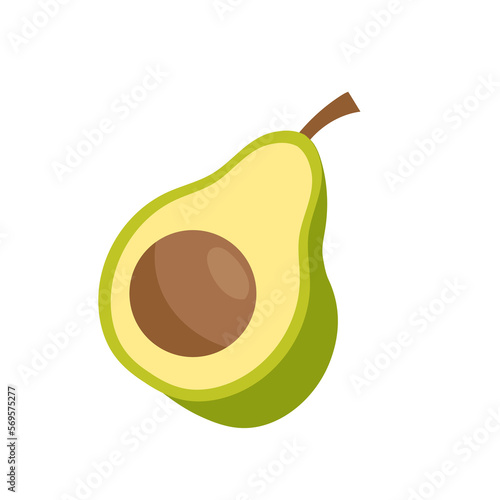 avocado fruit illustration