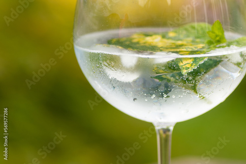 A close up shot of a large gin and tonic glass containing ice, mint end lemon balm, covered in condensation with green foliage background 