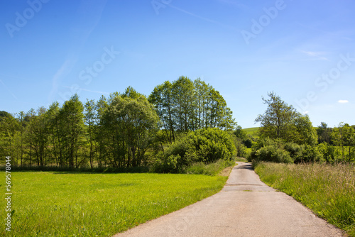 A field road in the summer against the background of sunlight sky.