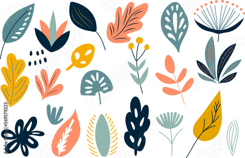 plants, leaves on white background, vector © zolotons